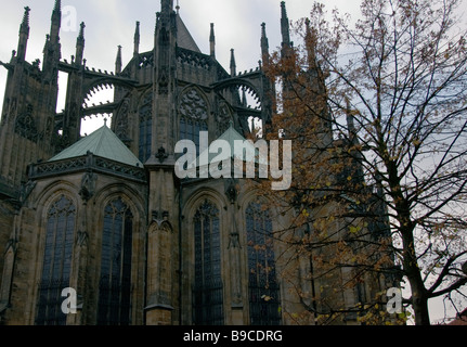 St. Vitus cathedral view in autumn with leafless tree on foreground. Prague Castle, Czech republic. Stock Photo