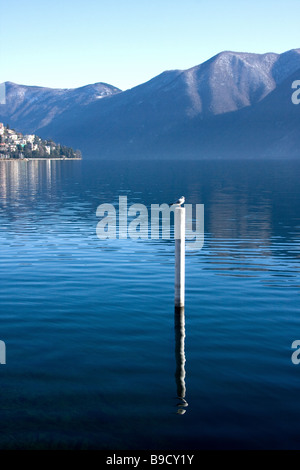 Bird on mast at Lake Lugano in Switzerland Stock Photo