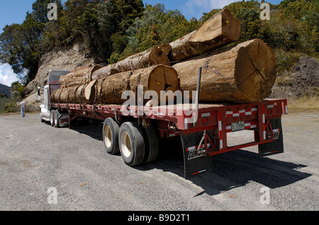 Logging truck, Costa Rica Stock Photo