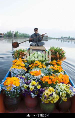 Man selling potted plants in a boat, Dal Lake, Srinagar, Jammu And Kashmir, India Stock Photo