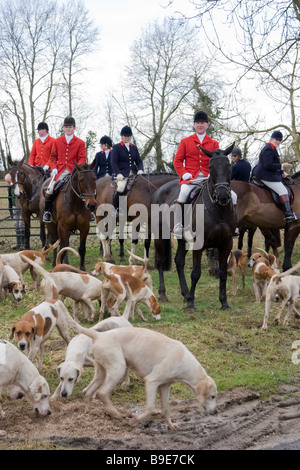 The Essex and Suffolk Hunt England Stock Photo