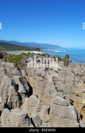 Pancake Rocks, Punakaiki, Paparoa National Park, West Coast, South Island, New Zealand Stock Photo