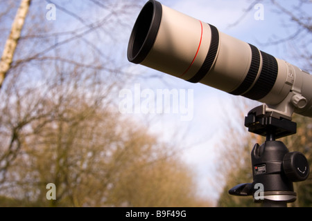 A photographers Canon L lense zoom points outwards from behind a hide as it points towards a subject of photographic interest Stock Photo