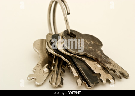Group of various small key on a keyring Stock Photo