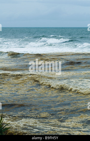 oil pollution on beach emulsified oil and water in surf. Pacific Adventurer disaster queensland 2009  Wednesday, 11 March , 2009 Stock Photo