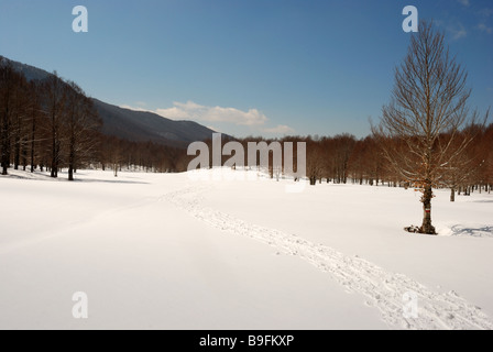 Glade in Hernici Mounts, Apennines (Italy) Stock Photo