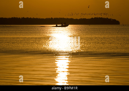 Sportsmen at sunrise speed past mangrove islands in Florida Bay Everglades National Park Florida Stock Photo