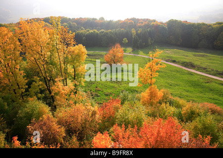 Autumnscene in Upperfrankonia Bavaria Germany