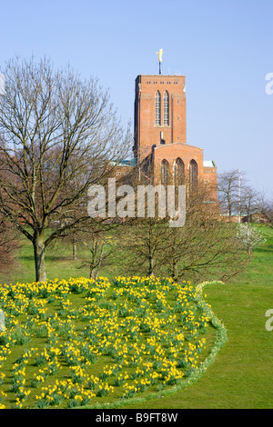 Guildford Cathedral and daffodils, Surrey, UK Stock Photo