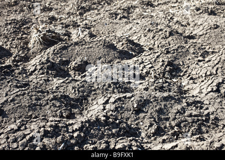 Soil background Stock Photo