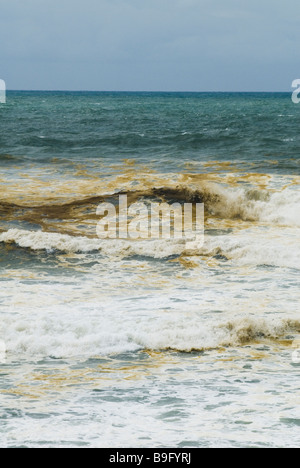 oil pollution on beach emulsified oil and water in surf. Pacific Adventurer disaster queensland 2009  Wednesday, 11 March , 2009 Stock Photo