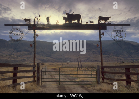 Wrought iron sign on gate at entrance to ranch at TX 17 highway near Limpia Canyon in Davis Mountains Texas USA Stock Photo