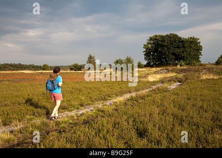 Woman walking on path through the Luneburger Heide Luneburg Germany Stock Photo