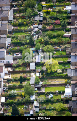 Aerial view back to back Terraced houses gardens suburban Stock Photo