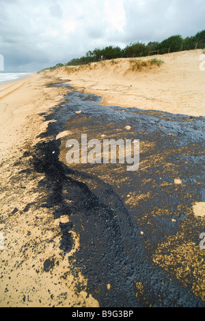 oil pollution on beach oil sludge Pacific Adventurer disaster Queensland 2009  Wednesday, 11 March , 2009 Stock Photo