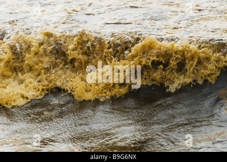 oil pollution on beach emulsified oil and water in surf. Pacific Adventurer disaster queensland 2009  Wednesday, 11 March , 2009 Stock Photo