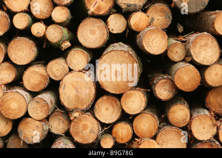 A pile of Cut Wooden Logs Stock Photo