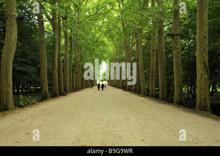 Avenue of trees leading to Chenonceau castle Loire valley France Stock Photo