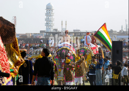 The Elephant Festival of Jaipur, in Rajasthan, India Stock Photo