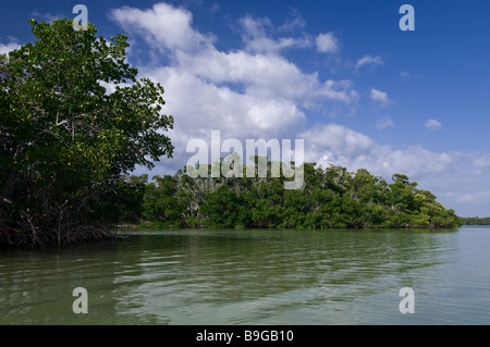 Mangrove forests surround islands in Florida Bay Everglades National Park Florida Stock Photo