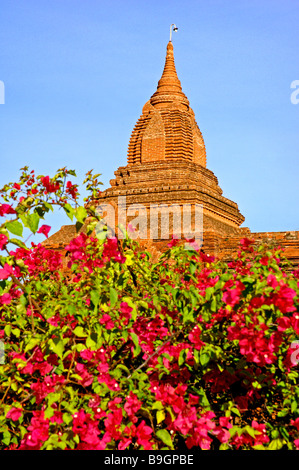 the ancient temple city of Pagan Bagan at Myanmar Burma Birma Stock Photo