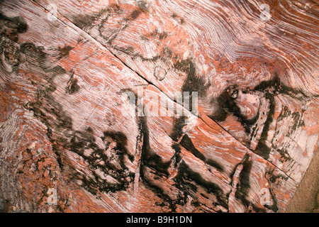 Main chamber of the ancient Nabatean rock cut monument named Urn Tomb ...