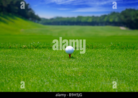 Golf ball on tee ground view close up Stock Photo