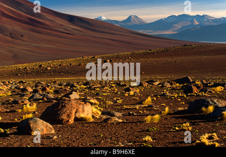 Chile, Region II, San Pedro de Atacama. Dry volcanic landscape looking across to Volcano Licancabur. Stock Photo