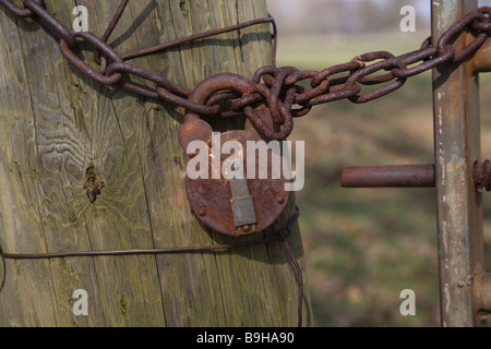 Close up rusty chain and padlock on gate post Stock Photo