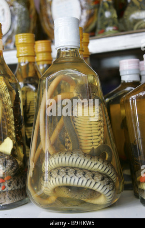 Thailand Snake whisky bottle alcohol snake souvenir  Alcohol Asian Asia reception 2006 destination village Dreiländerdreieck Stock Photo