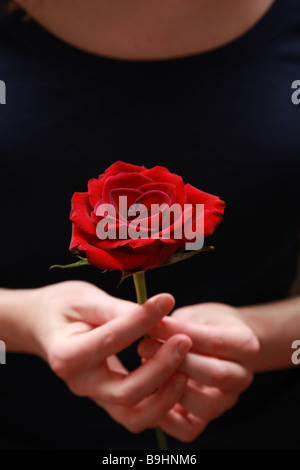 A girl holding a rose Stock Photo