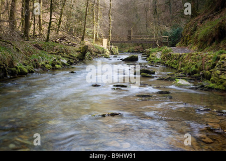 This footbridge over the river in Lydford Gorge makes an attractive circular walk for visitors Devon England Stock Photo