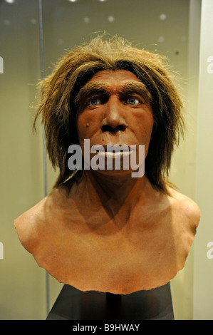 Bust of a neanderthal, Museum fuer Naturkunde, Natural History Museum, Berlin, Germany, Europe Stock Photo