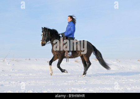 Young rider galloping on back of a Paso Fino horse in winter Stock Photo