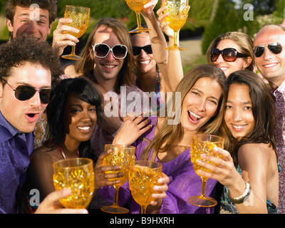 People toasting their glasses Stock Photo