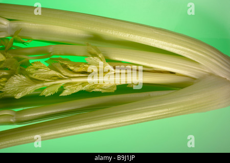 Bunch of Pascal celery Stock Photo