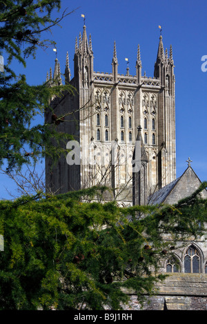 Wells Cathedral viewed from the grounds of the Bishops Palace in the City of Wells in Wessex in South West England Stock Photo