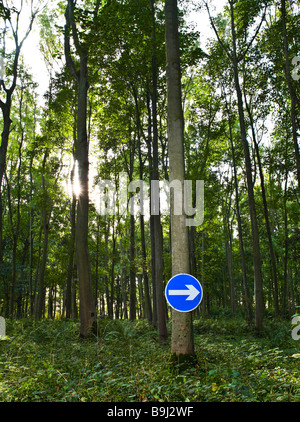 Road sign on tree in the woods Stock Photo