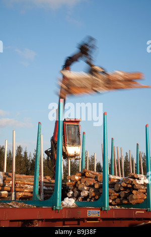 Log truck driver using truck crane and loading logs to cargo log train cars at railroad depot at Winter . Finland Stock Photo