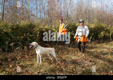 A hunting guide leads a bird dog Lab and a bird hunter orange with gun along a fence row in search of game