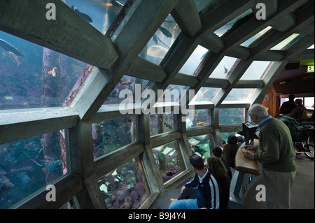 The Underwater Dome, Seattle Aquarium, Seattle Washington, USA Stock Photo