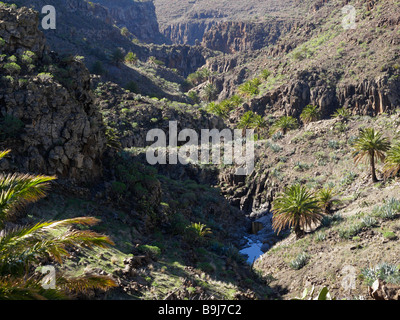 Barranco de Argaga, La Gomera, Canaries, Canary Islands, Spain, Europe Stock Photo