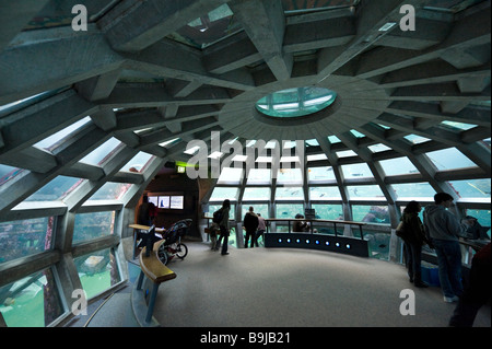 The Underwater Dome, Seattle Aquarium, Seattle, Washington, USA Stock Photo