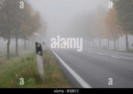 Car driving with dimmed headlights on a country road in dense fog, Hesse, Germany, Europe Stock Photo