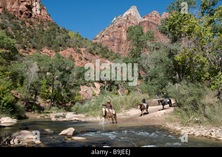 Pony trekking crossing Virgin River Zion National Park Utah USA Stock Photo