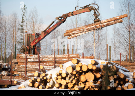 Log truck driver using truck crane and loading logs to cargo log train cars at railroad depot at Winter . Finland Stock Photo