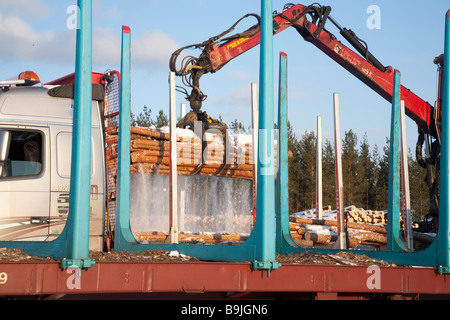 Log truck driver using truck crane and loading logs to cargo log train cars at railroad depot at Winter . Finland Stock Photo