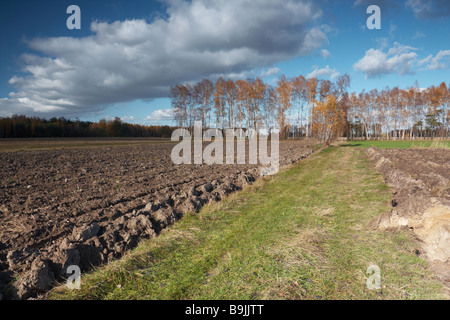 Plowed field, polish farm Poland Stock Photo