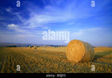 A bale of straw in a field of stubble after harvest with blue sky and summer clouds Stock Photo
