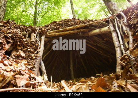 Leaf shelter in Dorset woods, England, UK Stock Photo